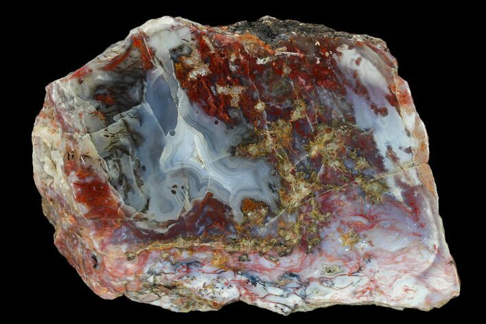 Polished Smugglers Moss Agate Section - Mexico #150608